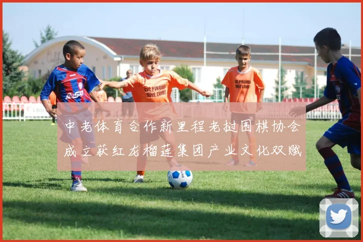 中老体育合作新里程老挝围棋协会成立获红龙榴莲集团产业文化双赋能