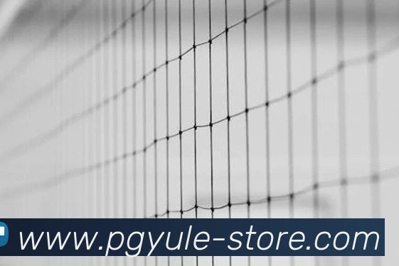 pg娱乐：引领视听技术与竞技公平的电子产业领航者品牌故事